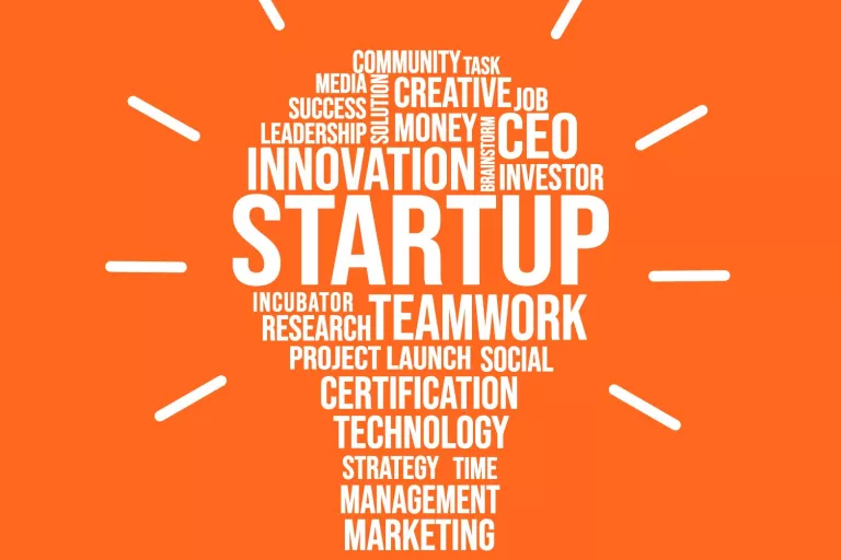 incubator 02