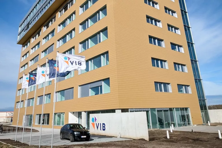 VIB Building