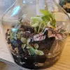 test image